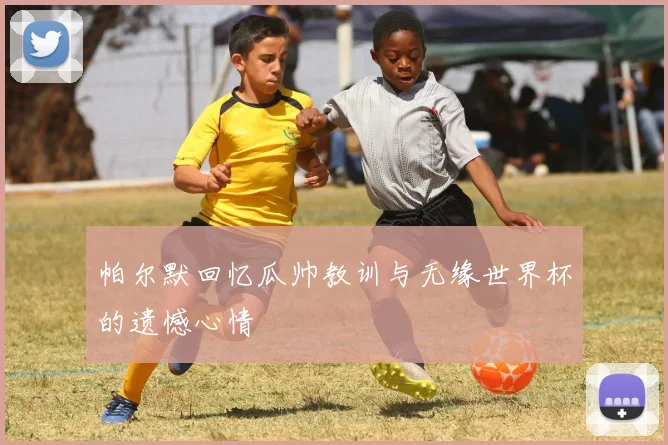 帕尔默回忆瓜帅教训与无缘世界杯的遗憾心情