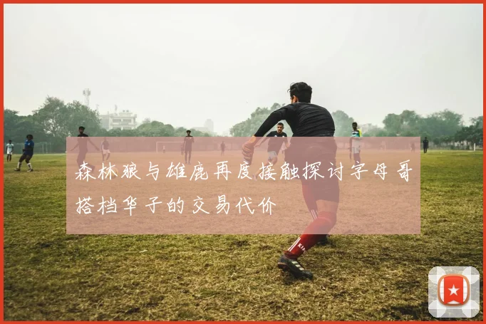 森林狼与雄鹿再度接触探讨字母哥搭档华子的交易代价
